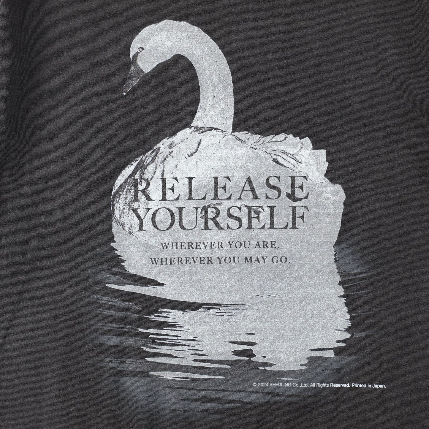 BLACK SWAN T 【5 years later】