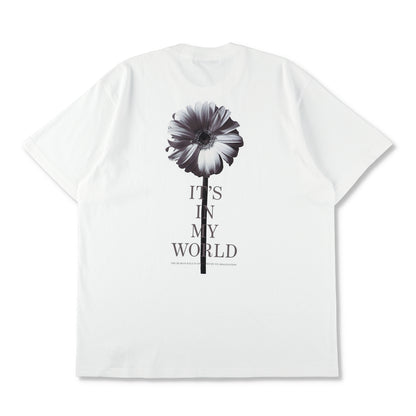 gerbera tee